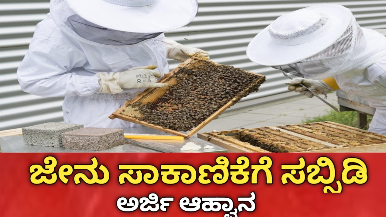 Honey Bee Farm Subsidy 2026
